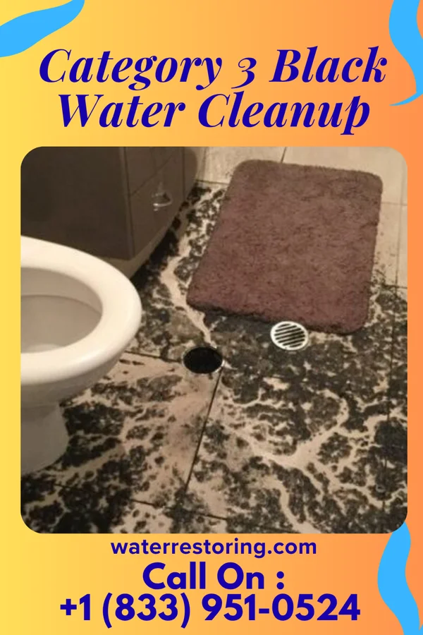 Category 3 Black Water Cleanup in Craig, NE